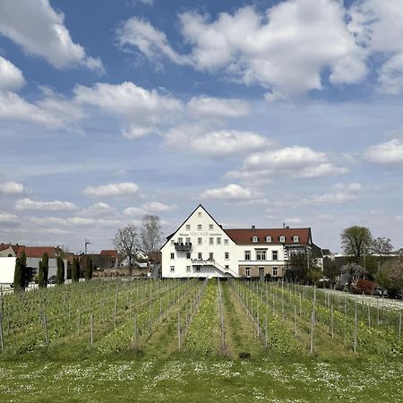 Ferienwohnung Weinzeit13 Neustadt an der Weinstraße Exterior foto